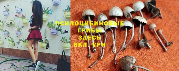 эйфоретик Абаза