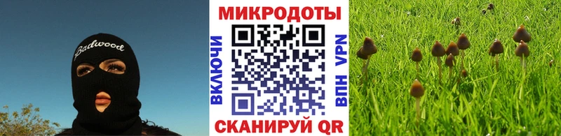 Галлюциногенные грибы Psilocybine cubensis  где купить наркоту  Нефтеюганск 