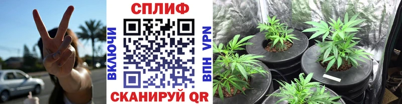 darknet как зайти Нефтеюганск МАРИХУАНА гибрид